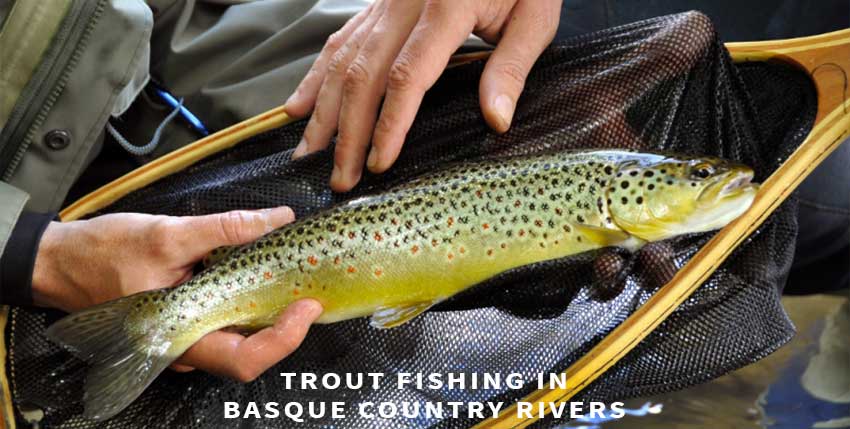 Trout fishing in Basque Country rivers